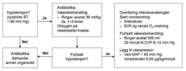 Handlingsskjema for initialbehandling av sepsis